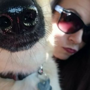 Meet your Posher, Krystal